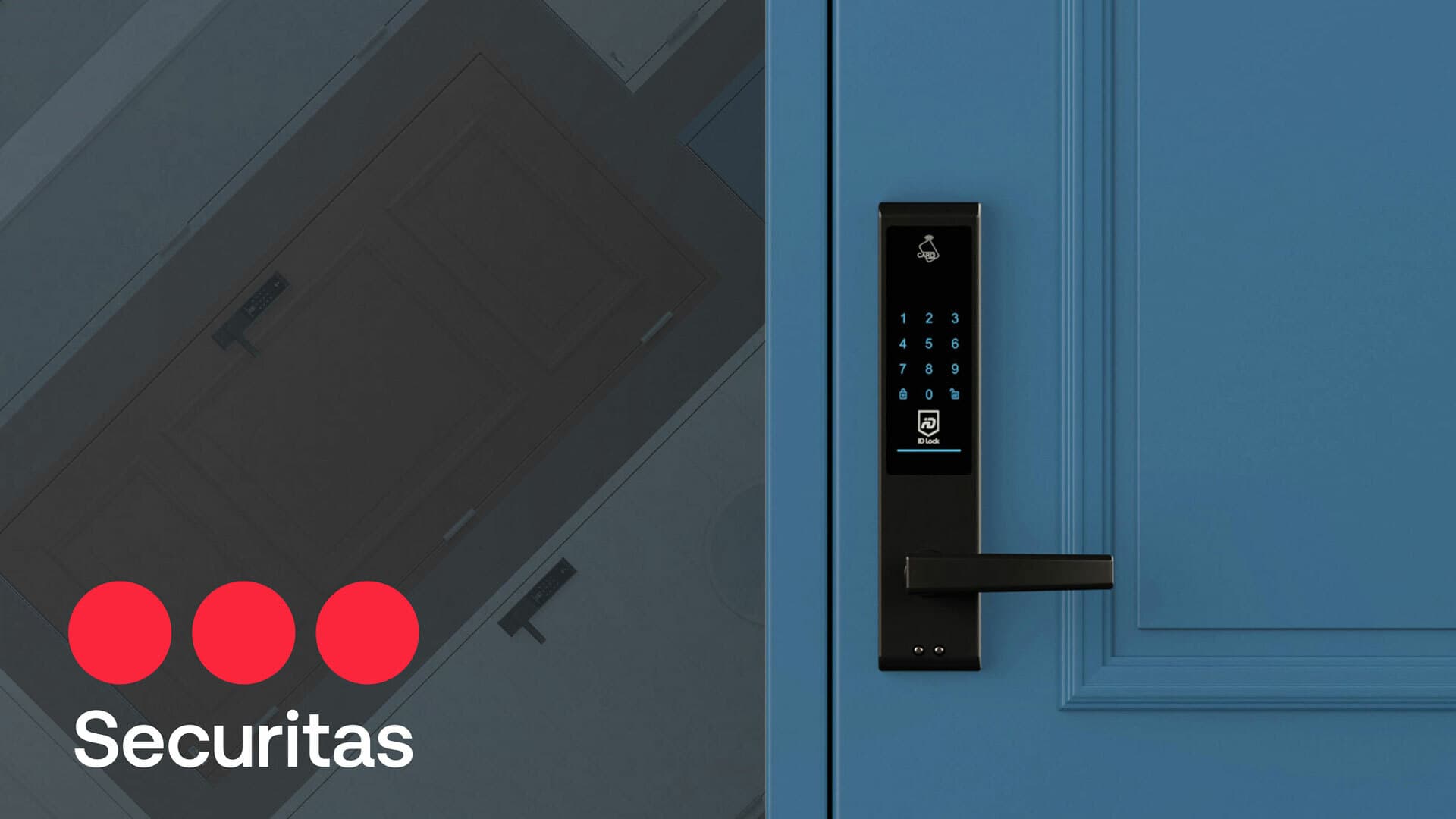 Securitas ny